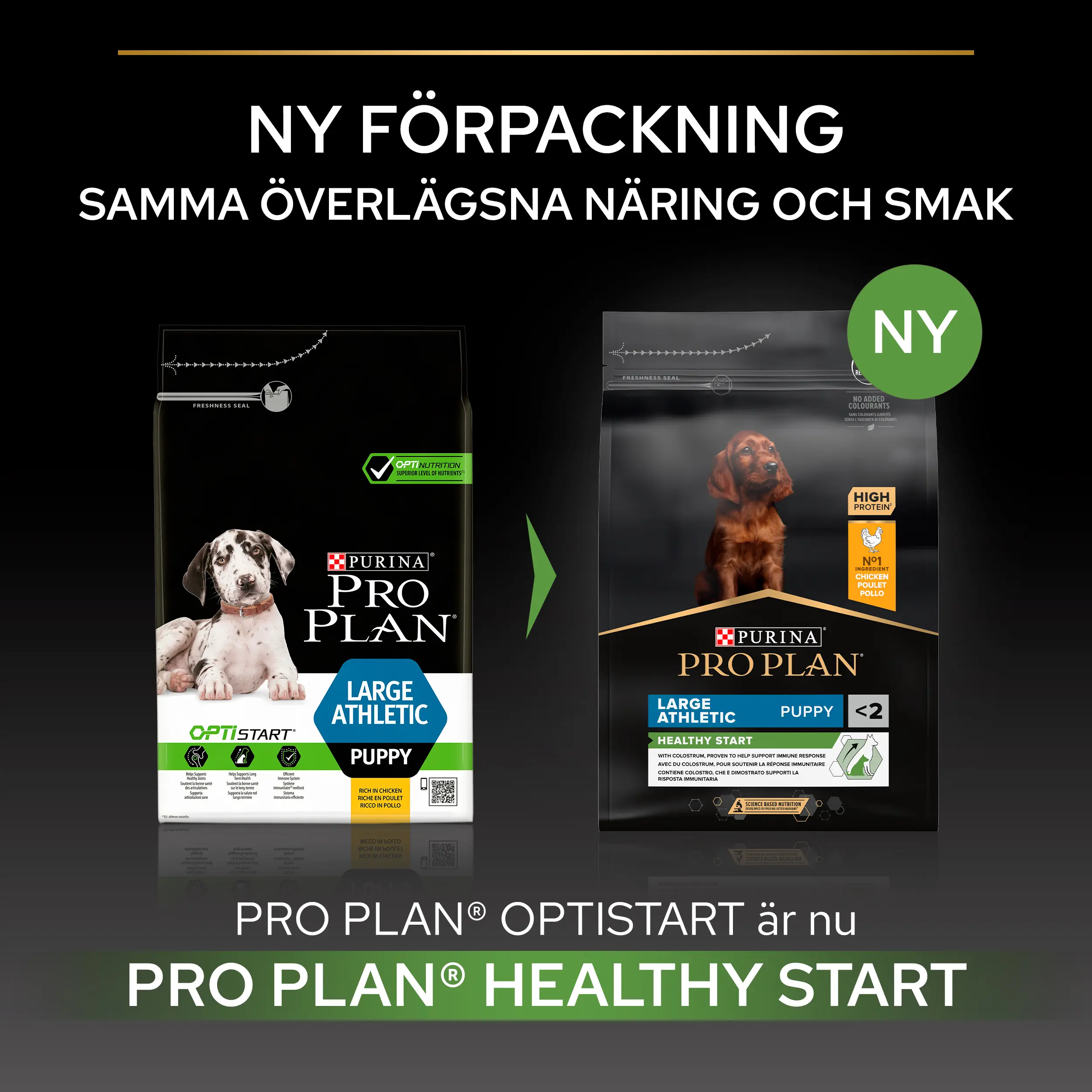 Large Athletic Puppy - HEALTHY START