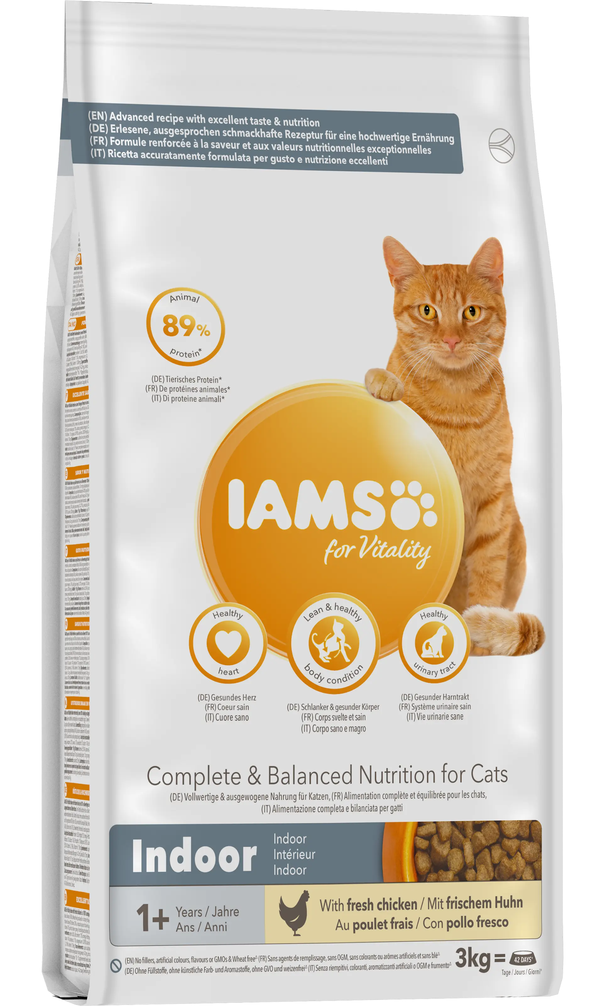 Cat Adult Indoor