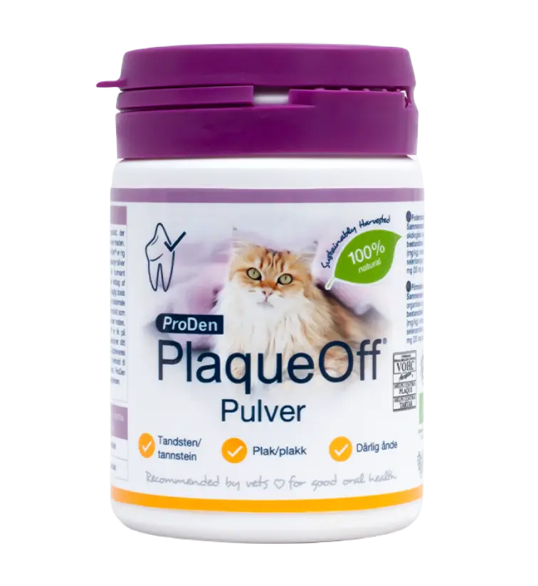 Powder Cat 40 g