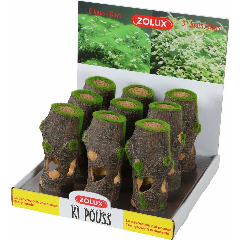 Kipouss Trädstam With Live Plant Seeds