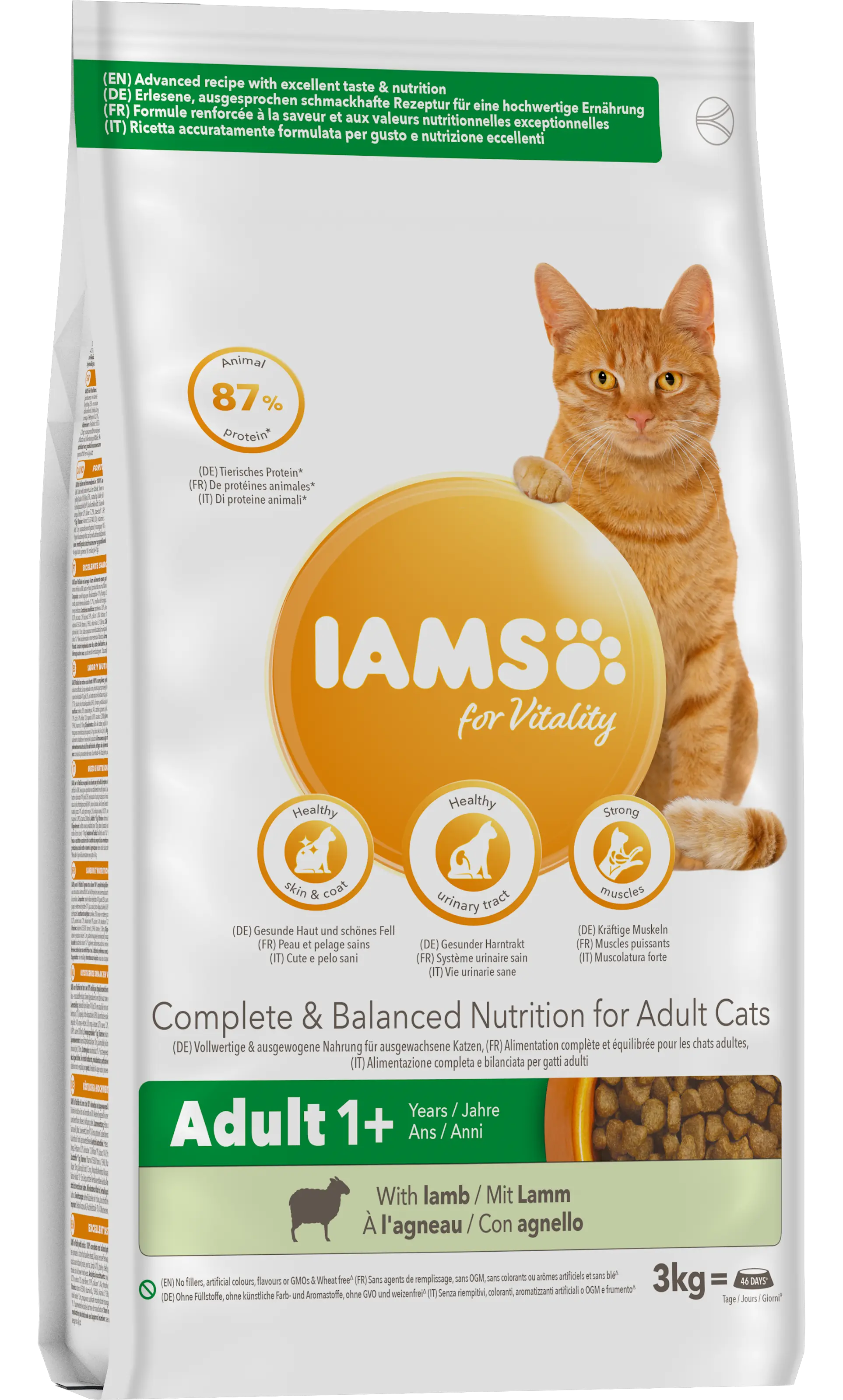 Cat Adult Lamb