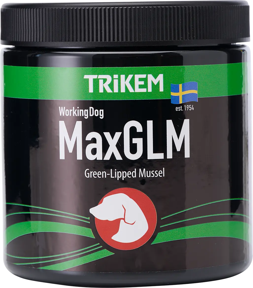 WorkingDog MaxGLM
