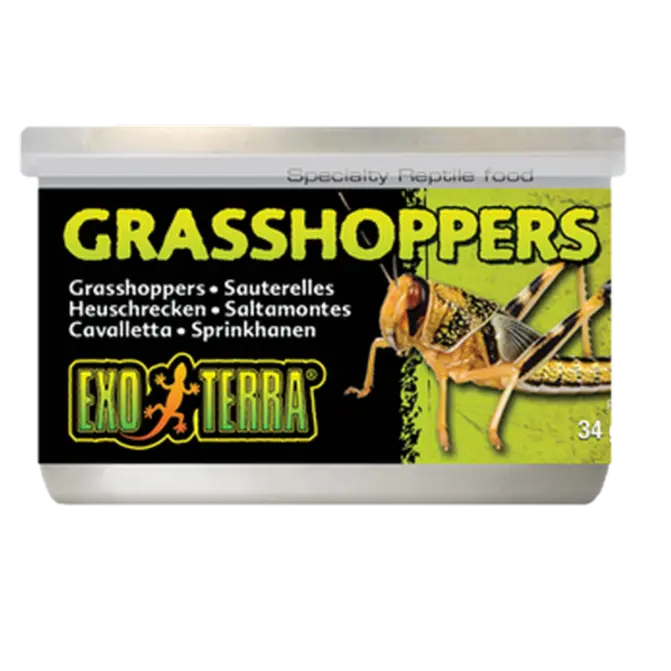 Grasshoppers - Specialty Canned Reptile Foods