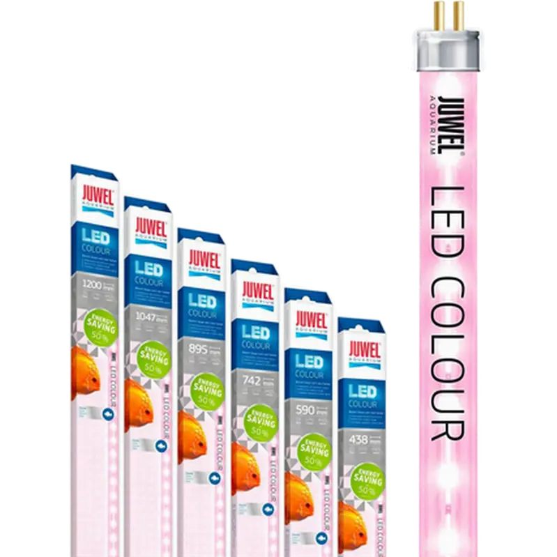 Multilux LED COLOUR