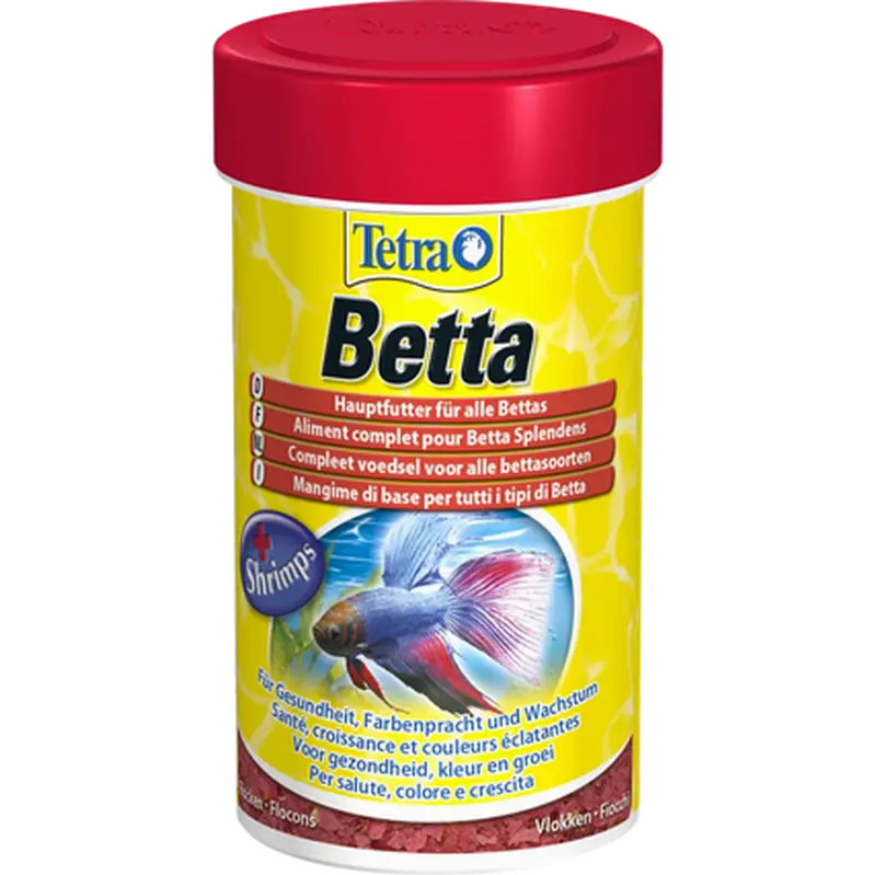 Betta