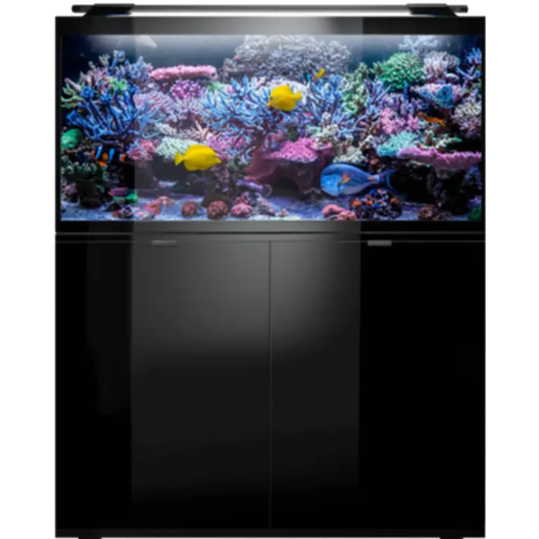 Glossy Marine Aquarium