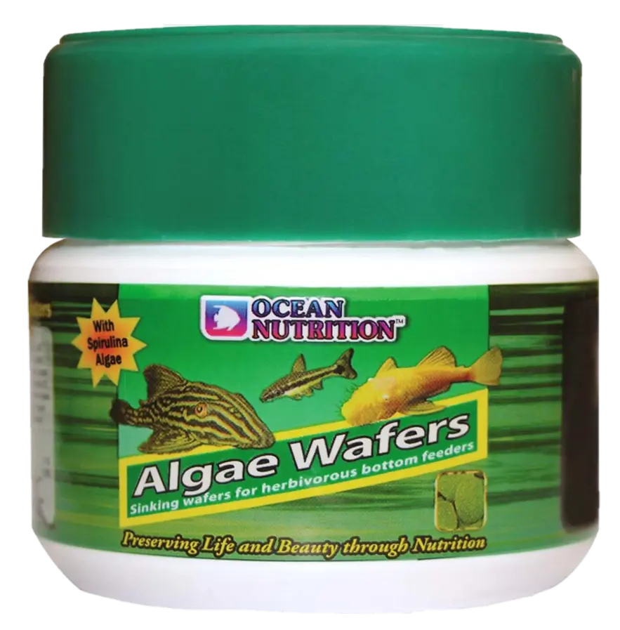 Algae Wafers med Spirulina