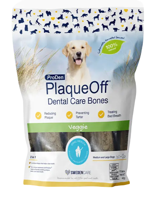 Dental Care Bones Veggie