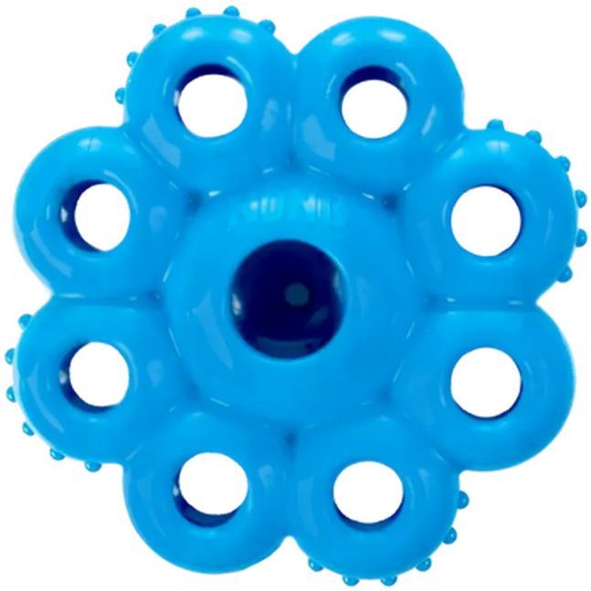 Quest Star pods Dog Toy
