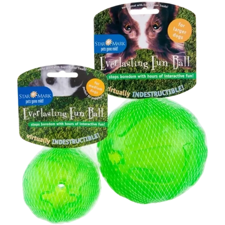 Everlasting Fun Ball