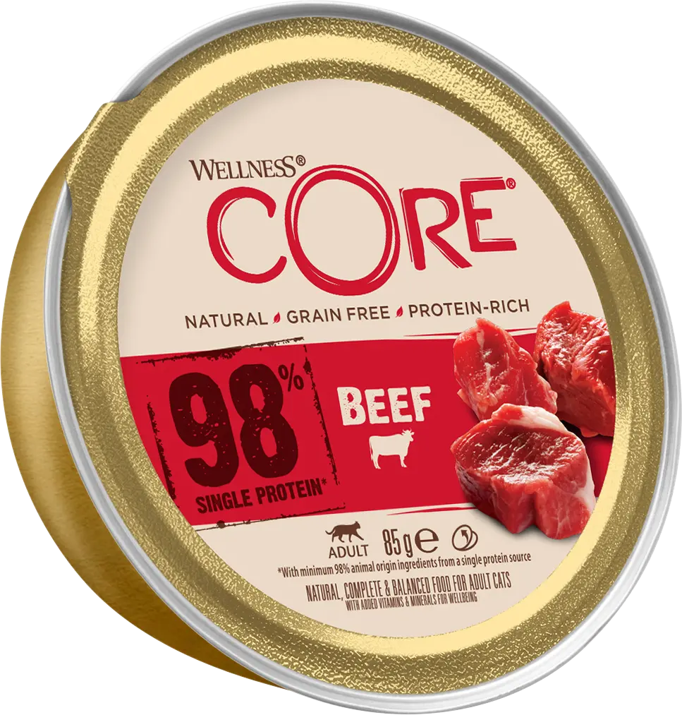 Cat 98% Beef Paté
