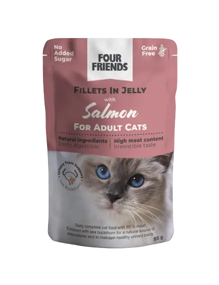 Cat Adult Salmon in Jelly Pouch