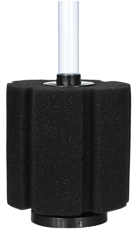 Svampfilter stor