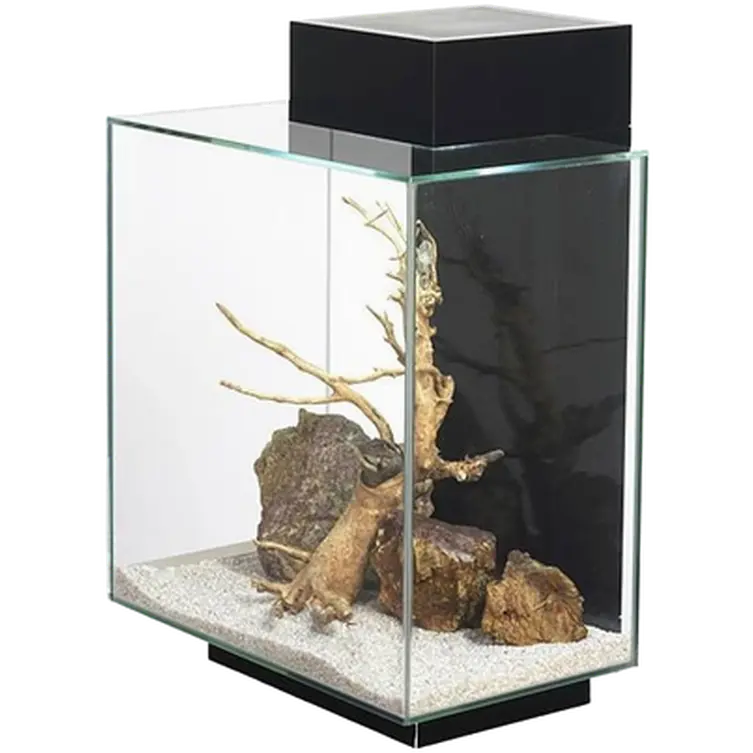 Aquarium Edge