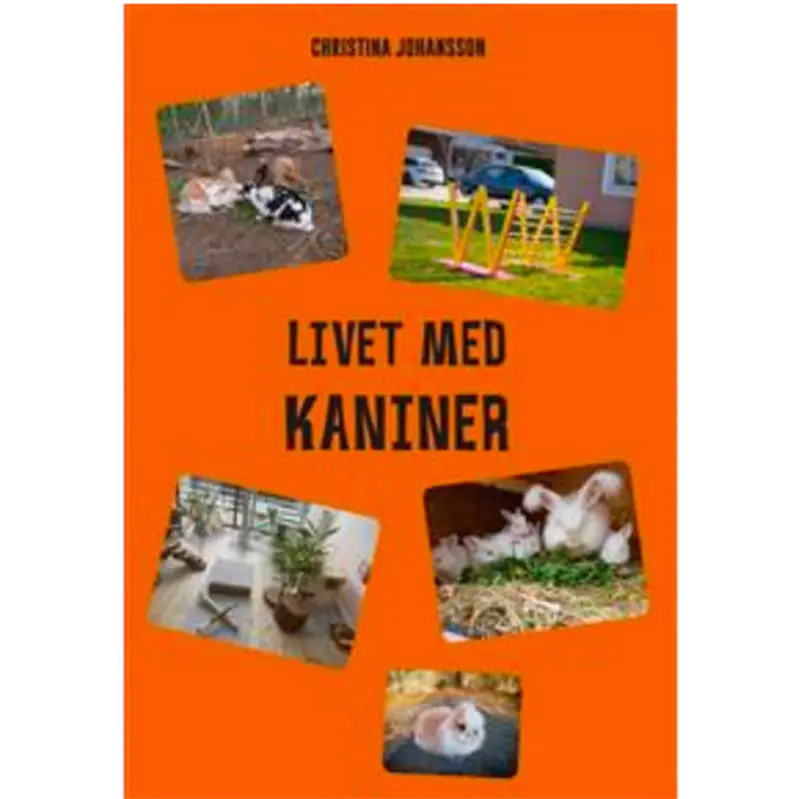 Faktabok: Livet Med Kaniner