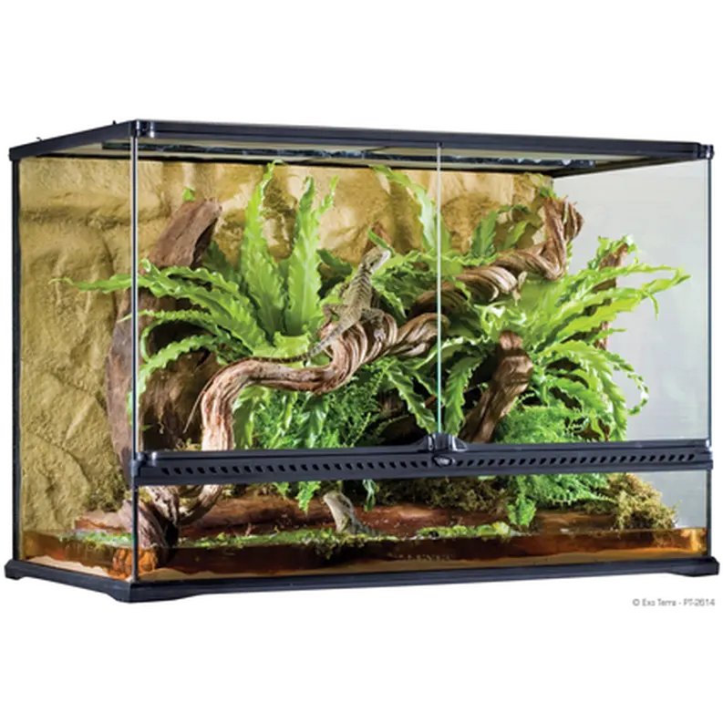 Glass Terrarium Natural Tall - Advanced Reptile Habitat