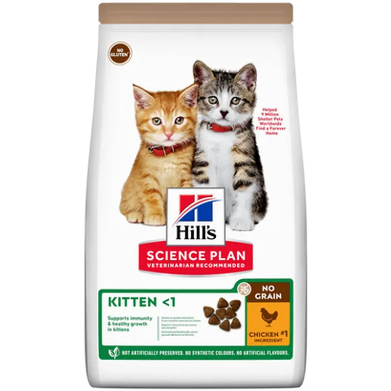 Kitten No Grain Chicken & Potato - Dry Cat Food Grainfree
