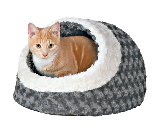 Kaline igloo