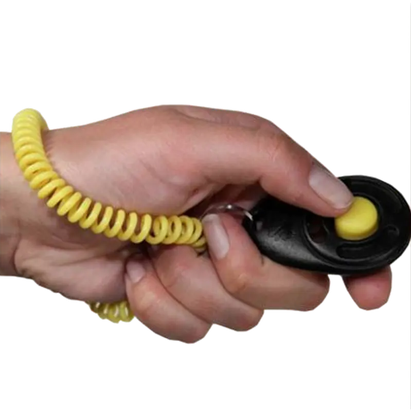 Pro-Training Clicker with Wristband