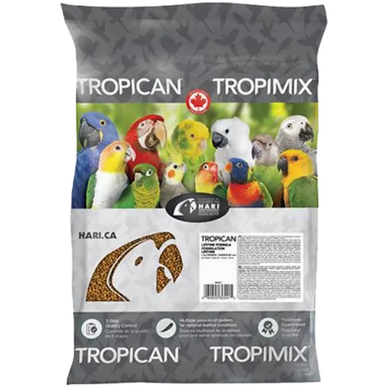 Lifetime Granules Papegoja