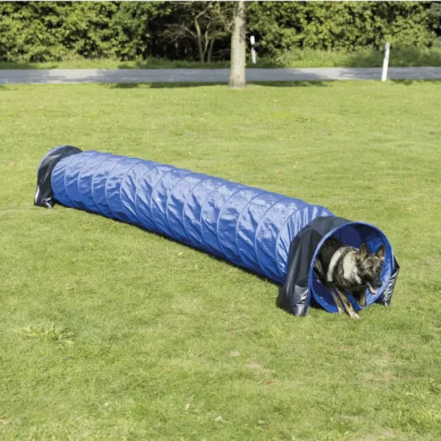 Agility Tunnel Blå