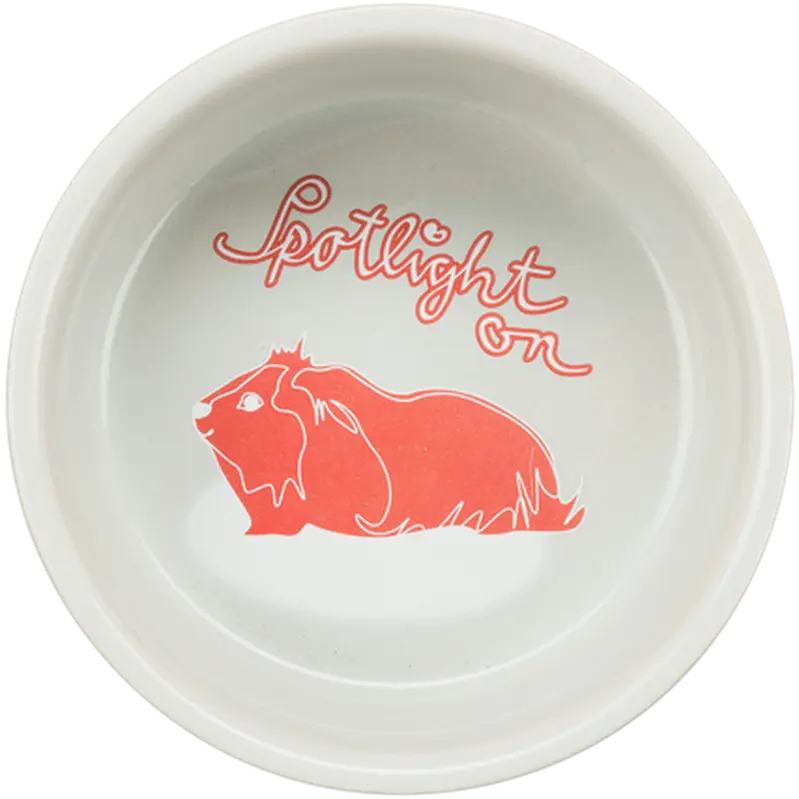 Ceramic Bowl Guinea Pigs