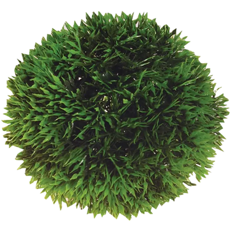 Plant Ball