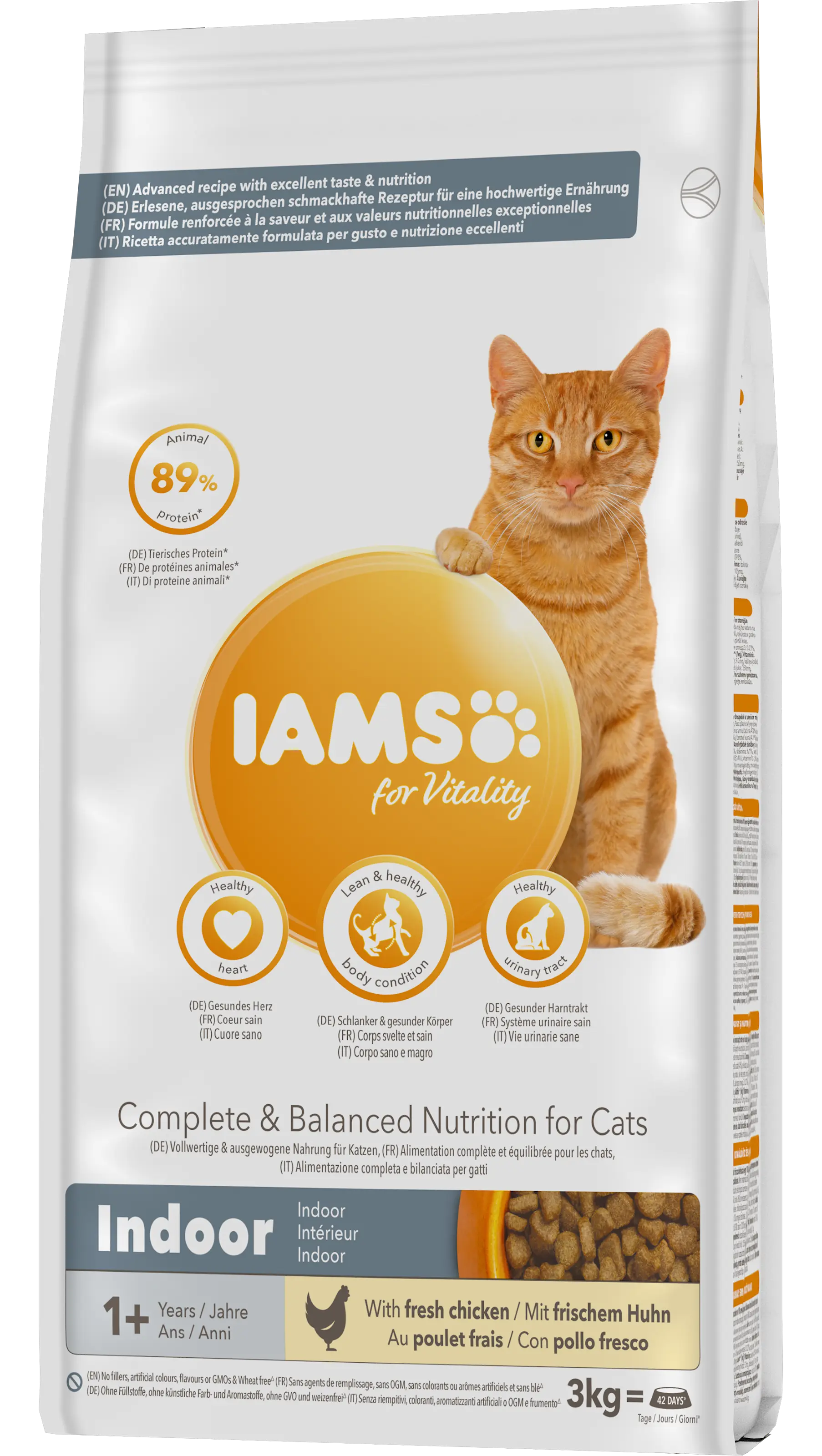 Cat Adult Indoor