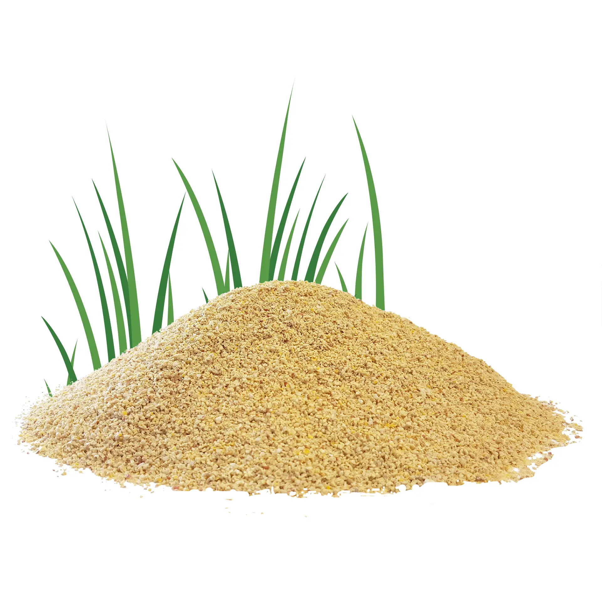 Corn - paper bag