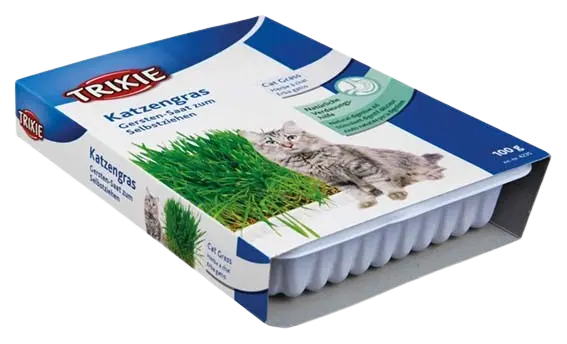 Kattgräs med odlingslåda