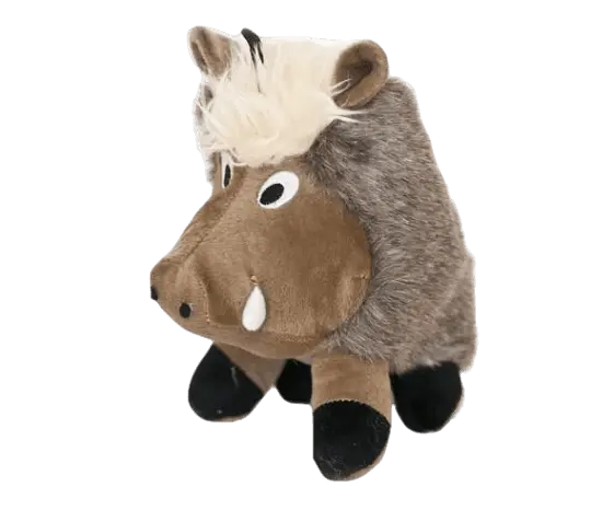 Wild Boar