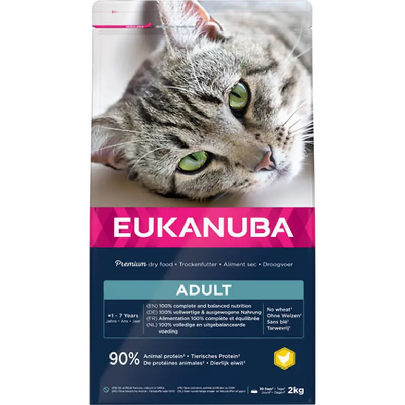 Cat Adult Top Condition
