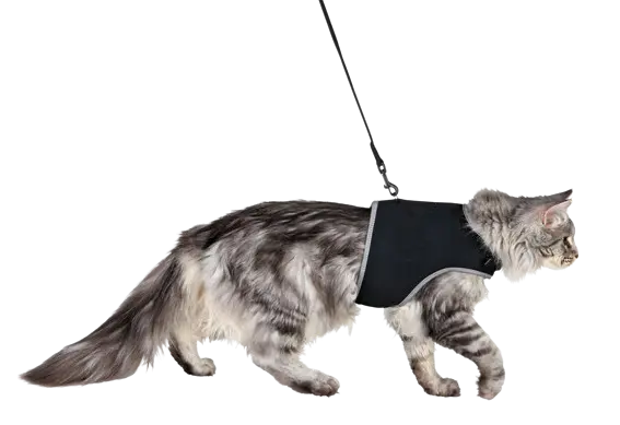 Kattsele mjuk med koppel  XXL