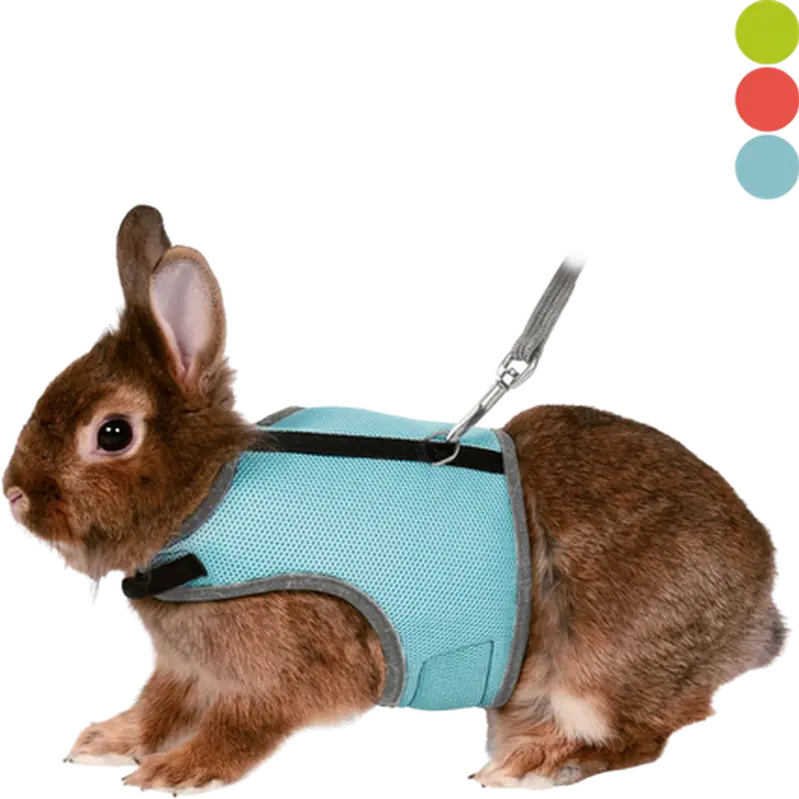 Soft Soft Harness with Leash Rabbit