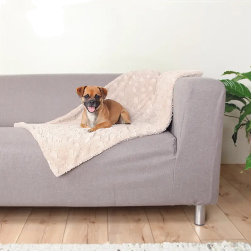 Cosy Blanket