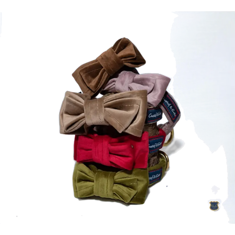 Rosett/Fluga Bow Tie Velvet - Sammet Choklad