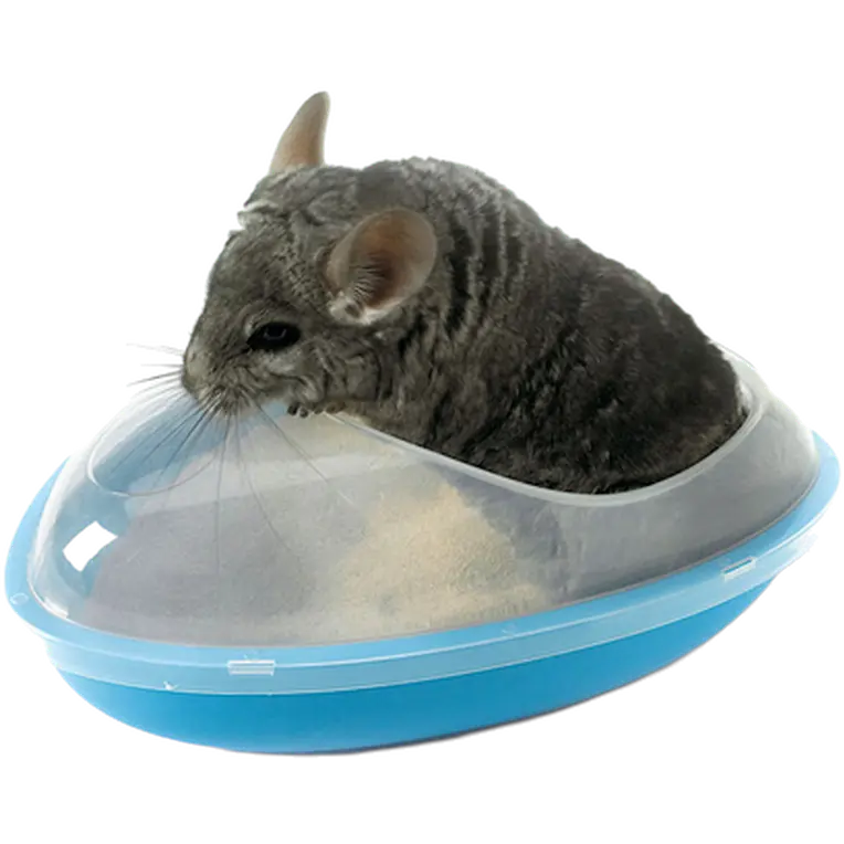 Wellness Chinchilla Bath