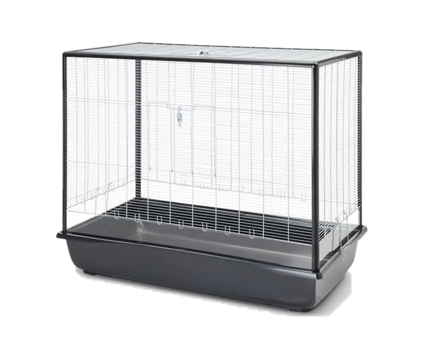 Argus 120 Plexi Knock Down - Small Animal Cage