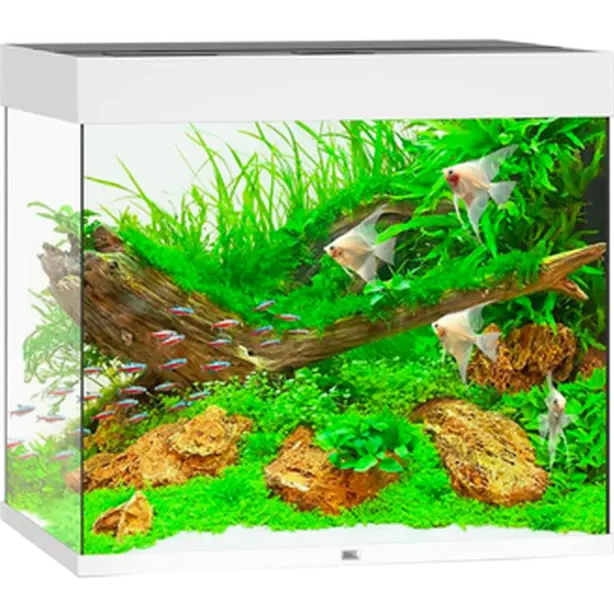 Lido LED Aquarium Vit