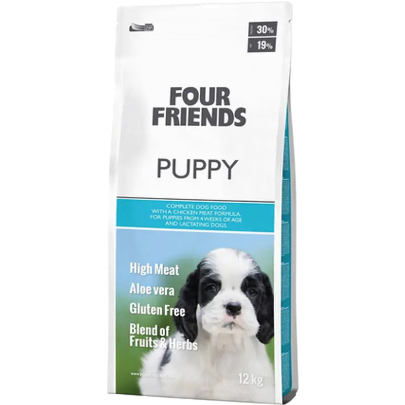 Dog Puppy