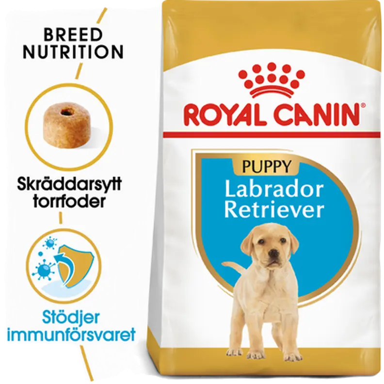 Labrador Retriever Puppy Torrfoder för hundvalp
