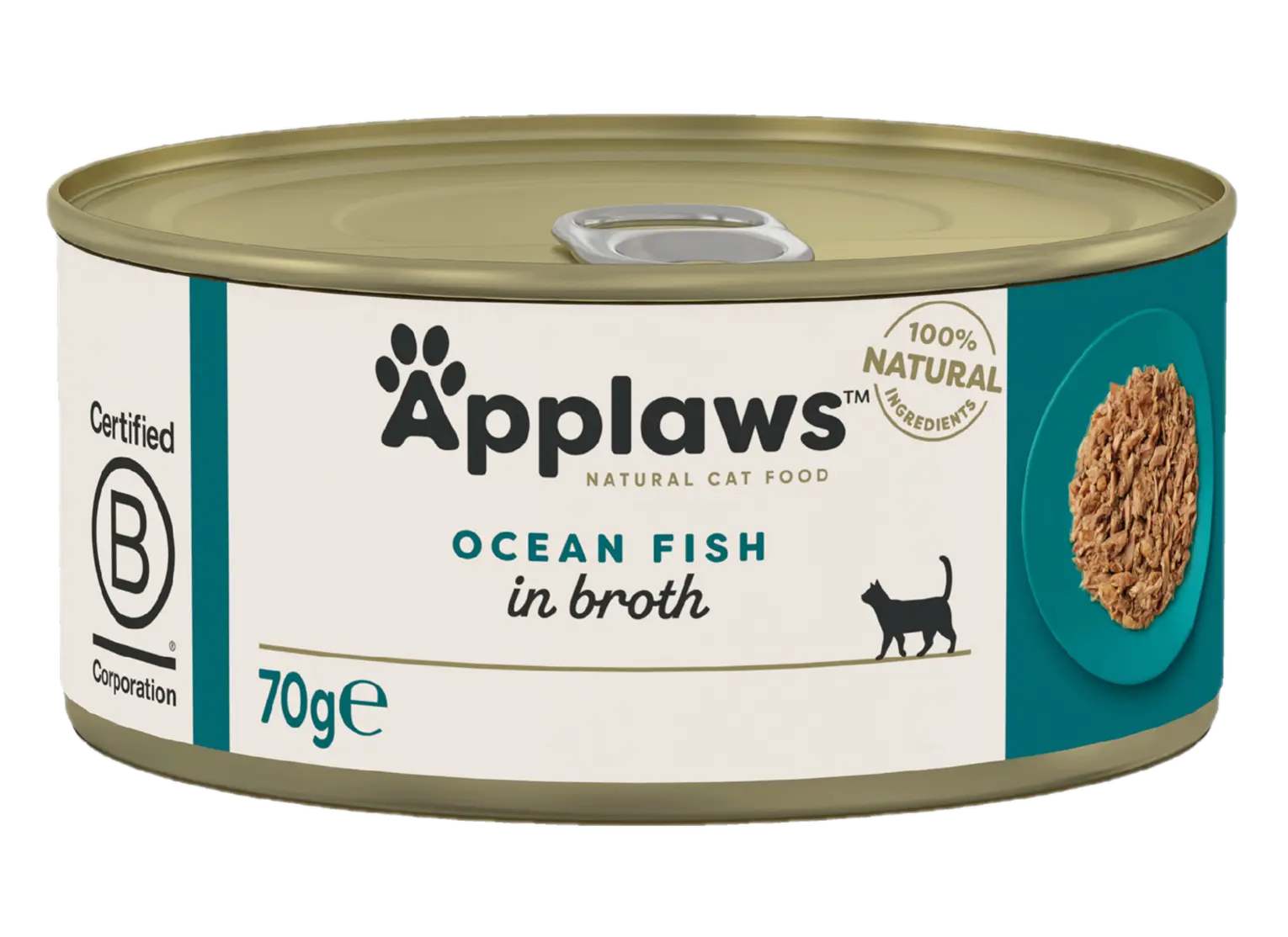 Ocean Fish