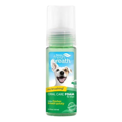 Fresh Mint Foam 133 ml