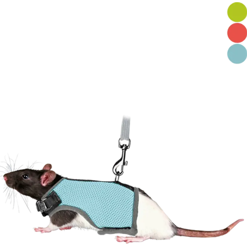 Soft Soft Harness with Leash Rat
