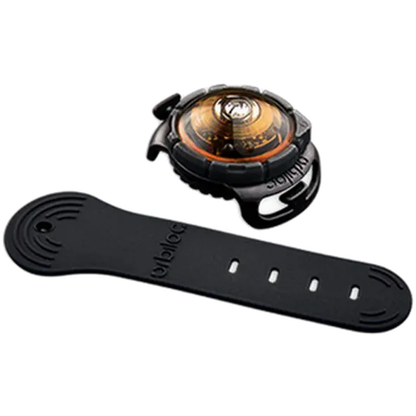 Safety Light Dog Dual LED - With Quick Mount & Adjustable Strap Amber 5 km