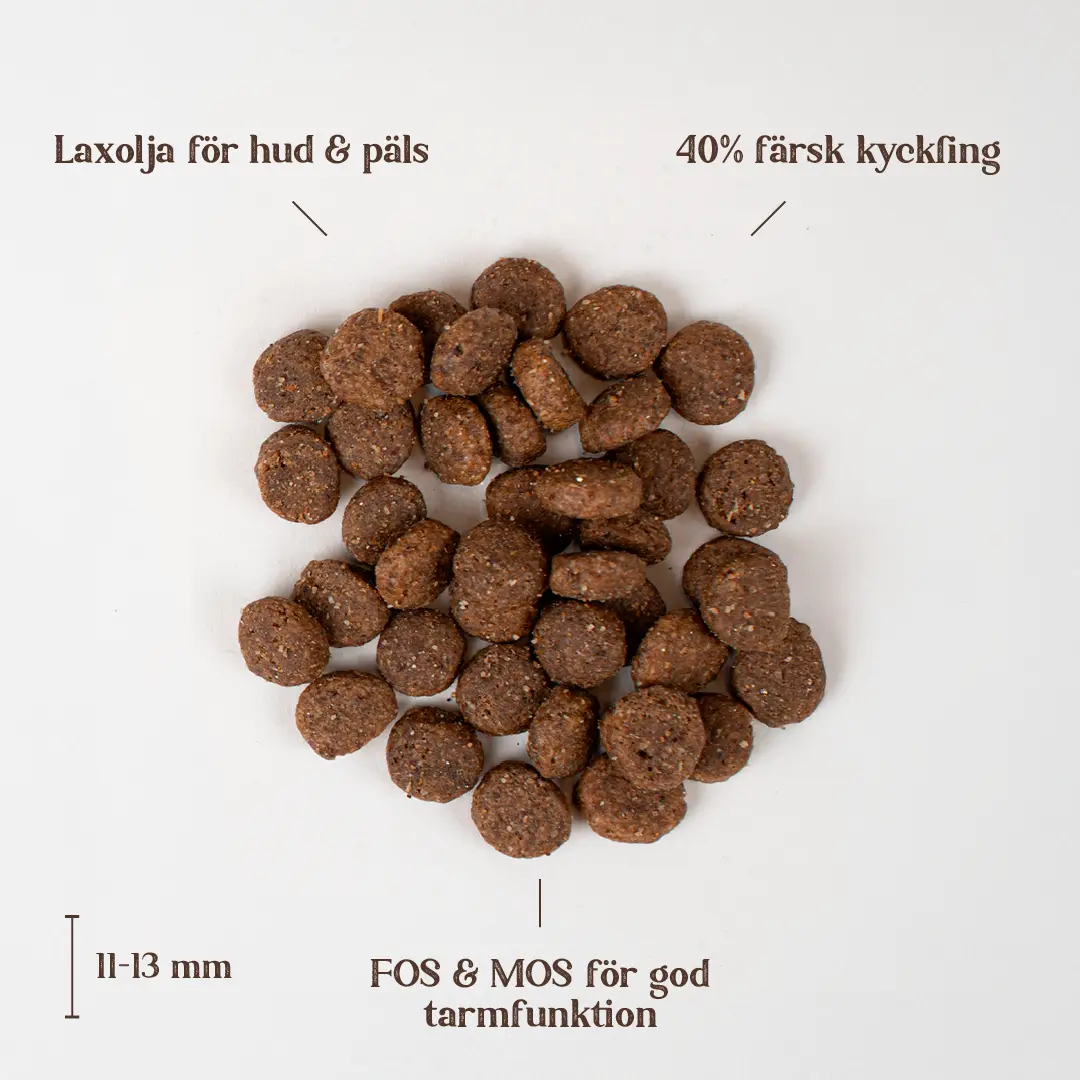 Dog Chicken Digest Adult All Breed