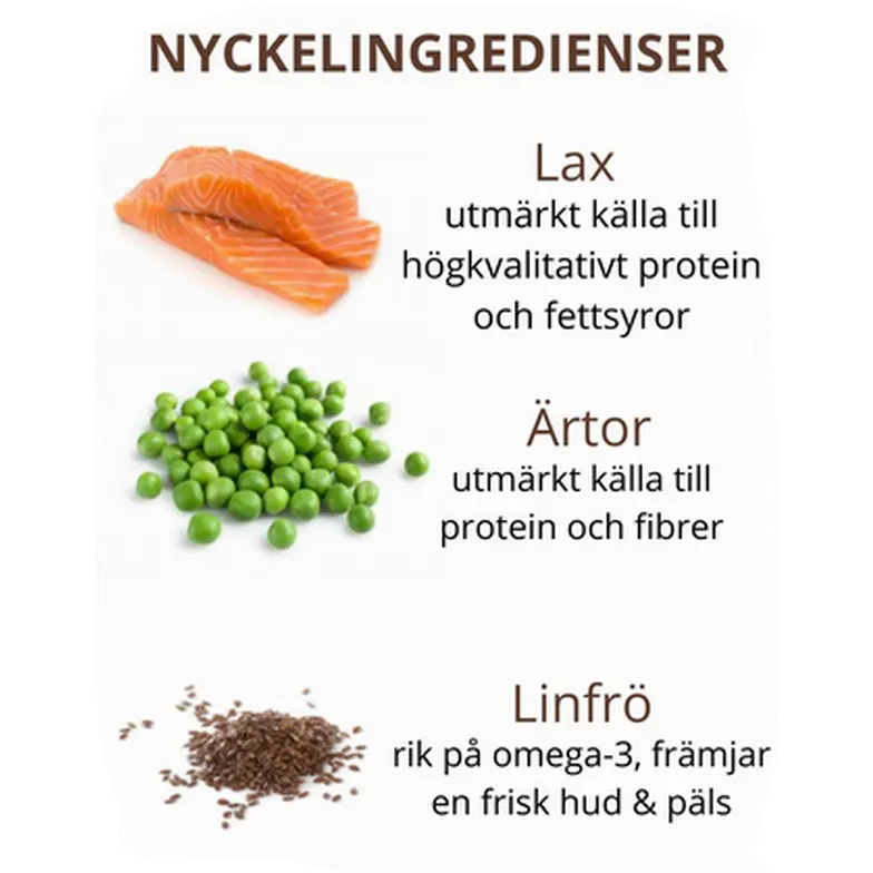 Cat Adult Ocean Grain Free Salmon & Tuna Dry