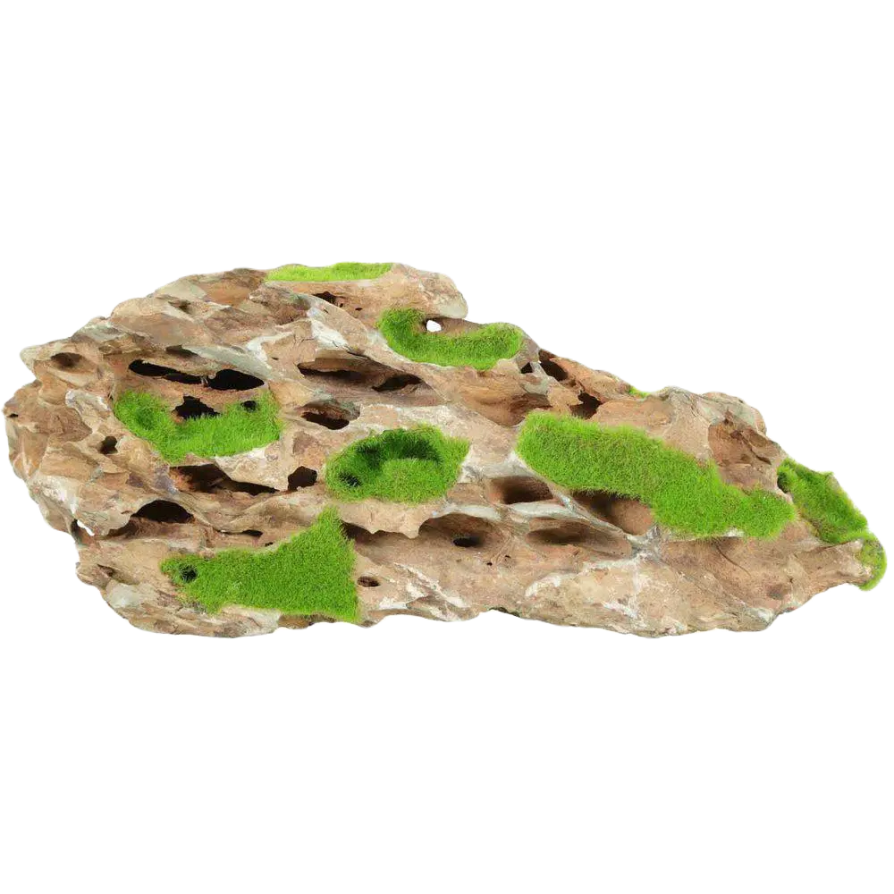 Kipouss Stone With Live Plant Seeds