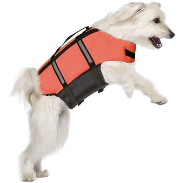 Life Swim Jacket