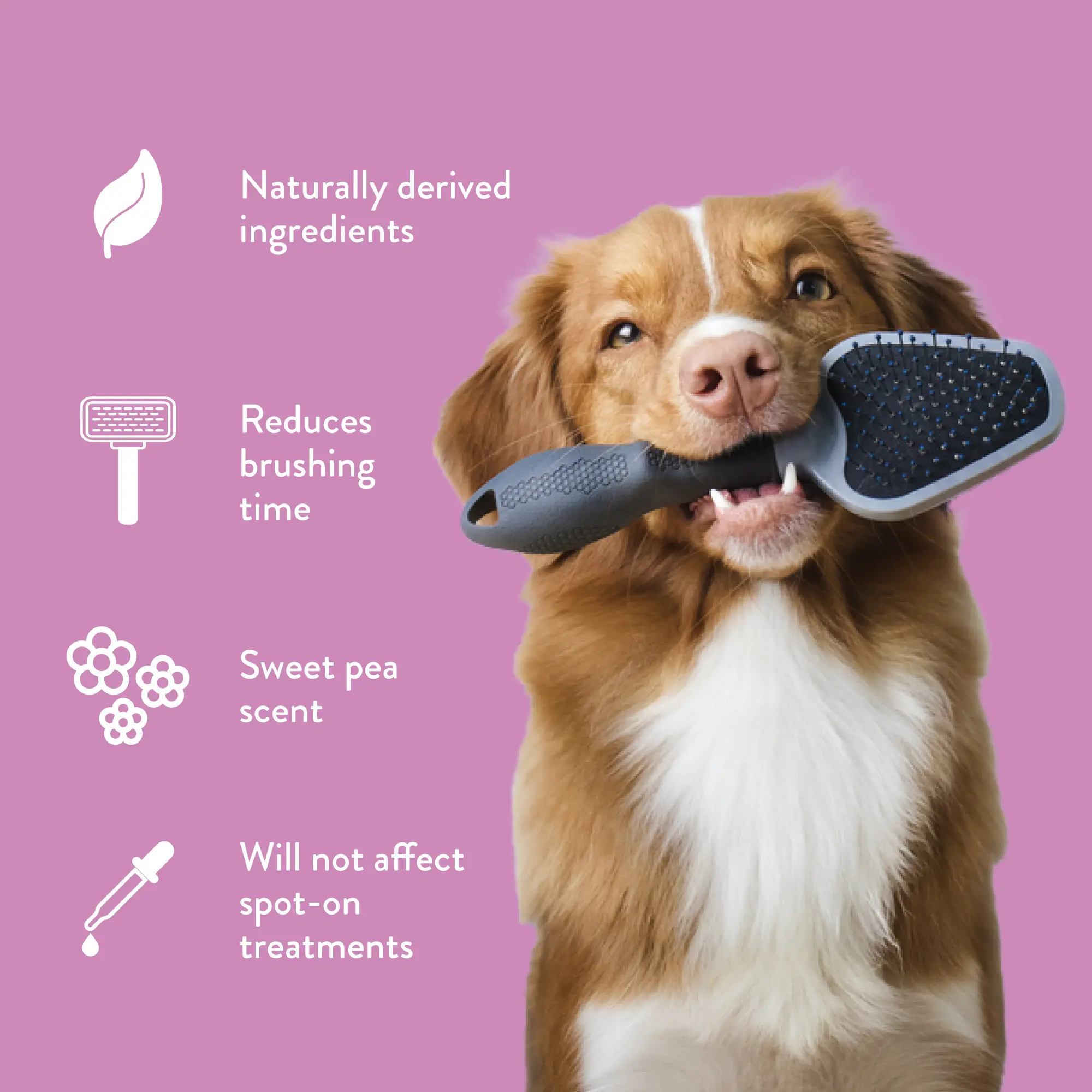 Tangle Remover Spray
